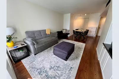 260 E Chestnut Street #1511, Chicago, IL 60611 - Photo 14