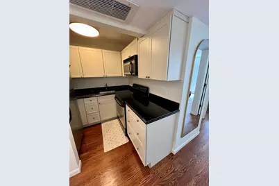 260 E Chestnut Street #1511, Chicago, IL 60611 - Photo 18