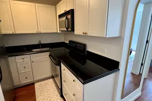 260 E Chestnut St, Chicago, IL 60611 - Photo 18