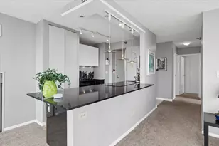 111 W Maple St, Chicago, IL 60610 - Photo 8
