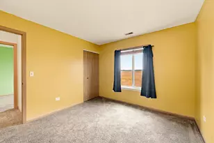 427 Alyssa St, Plano, IL 60545 - Photo 18