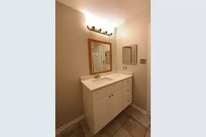 8216 Eynsford Drive, Orland Park, IL 60462 - Photo 24