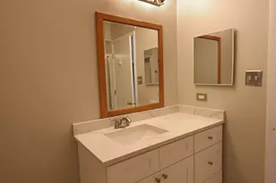 8216 Eynsford Dr, Orland Park, IL 60462 - Photo 24