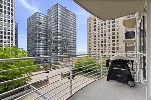 250 E Pearson St, Chicago, IL 60611 - Photo 20