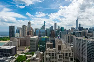 250 E Pearson St, Chicago, IL 60611 - Photo 28