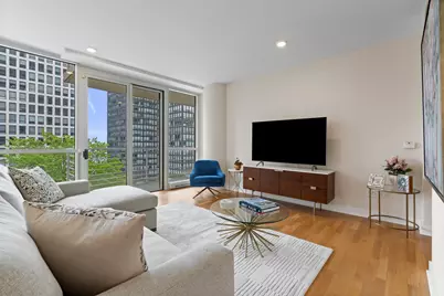 250 E Pearson Street #1002, Chicago, IL 60611 - Photo 4