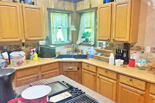 33 Karbers Ridge Rd, Herod, IL 62947 - Photo 12