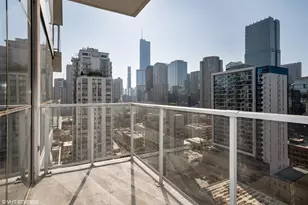 303 W Ohio St, Chicago, IL 60654 - Photo 8