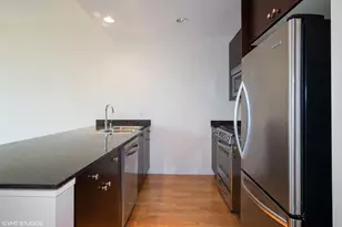303 W Ohio St, Chicago, IL 60654 - Photo 6
