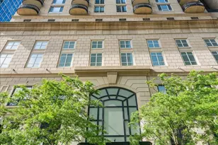 10 E Delaware Pl, Chicago, IL 60611 - Photo 1
