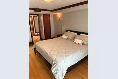 201 E Chestnut Street #22C, Chicago, IL 60611 - Photo 12