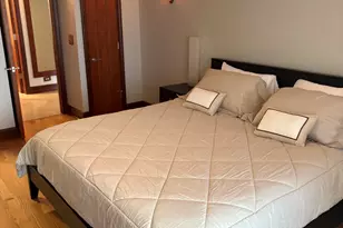 201 E Chestnut St, Chicago, IL 60611 - Photo 12