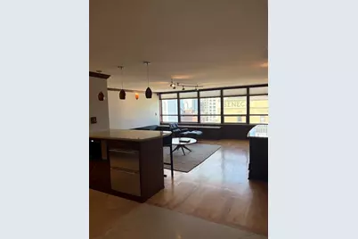 201 E Chestnut Street #22C, Chicago, IL 60611 - Photo 2