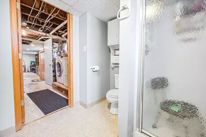 217 W Moulton Street, Pontiac, IL 61764 - Photo 40
