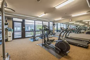 1150 W 15th St, Chicago, IL 60608 - Photo 18