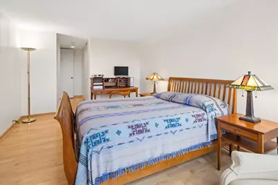 360 E Randolph Street #403, Chicago, IL 60601 - Photo 16