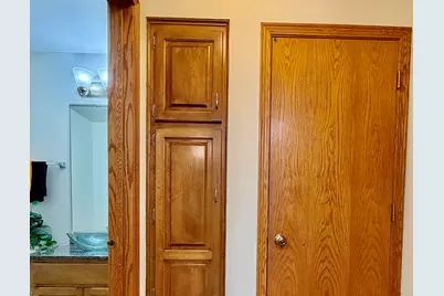 19339 Lisadell Drive, Tinley Park, IL 60487 - Photo 20