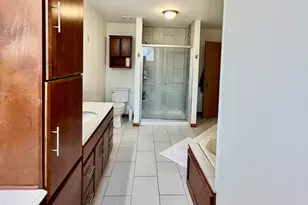 19339 Lisadell Dr, Tinley Park, IL 60487 - Photo 24