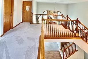 19339 Lisadell Dr, Tinley Park, IL 60487 - Photo 28
