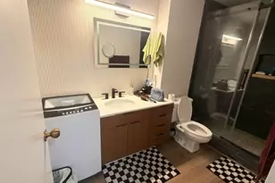 211 E Ohio St, Chicago, IL 60611 - Photo 8