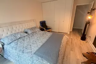 211 E Ohio St, Chicago, IL 60611 - Photo 6
