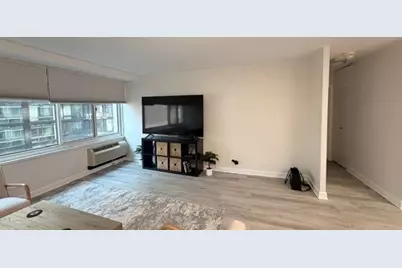 211 E Ohio Street #1114, Chicago, IL 60611 - Photo 4