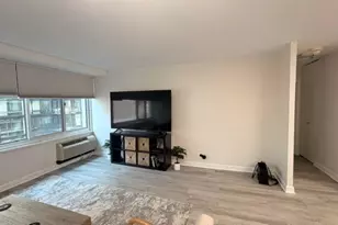 211 E Ohio St, Chicago, IL 60611 - Photo 4