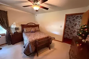415 W Minnesota St, Spring Valley, IL 61362 - Photo 14
