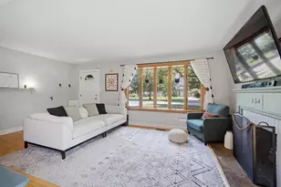 718 S Chestnut Ave, Arlington Heights, IL 60005 - Photo 4
