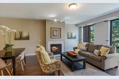 343 W Old Town Court #205, Chicago, IL 60610 - Photo 2