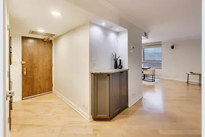 201 E Chestnut Street #3A, Chicago, IL 60611 - Photo 16
