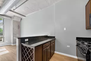 1550 S Blue Island Ave, Chicago, IL 60608 - Photo 10