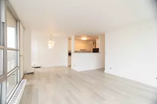 6730 S South Shore Dr, Chicago, IL 60649 - Photo 12