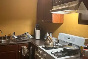 5336 S Union Ave, Chicago, IL 60609 - Photo 20