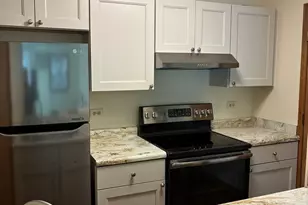 4408 W Shamrock Ln, McHenry, IL 60050 - Photo 12