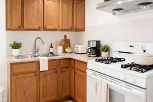 4824 S Lotus Ave, Chicago, IL 60638 - Photo 8