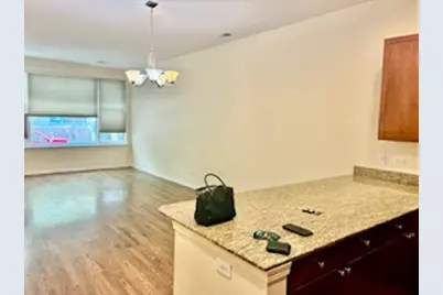 917 N Kingsbury Street, Chicago, IL 60610 - Photo 4