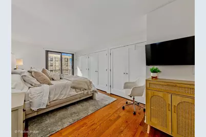 1212 N Lake Shore Drive #16CS, Chicago, IL 60610 - Photo 20