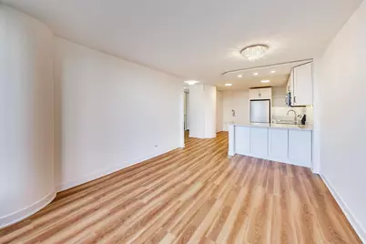 505 N Lake Shore Drive #407, Chicago, IL 60611 - Photo 10
