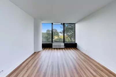 505 N Lake Shore Drive #407, Chicago, IL 60611 - Photo 12