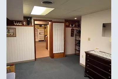 315 S Cherry Street, Paxton, IL 60957 - Photo 38