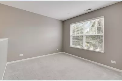 133 Willey Street, Gilberts, IL 60136 - Photo 16