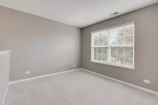 133 Willey St, Gilberts, IL 60136 - Photo 16