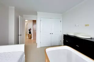 474 N Lake Shore Dr, Chicago, IL 60611 - Photo 22