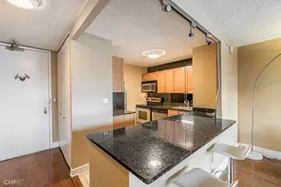 30 E Huron St, Chicago, IL 60611 - Photo 4