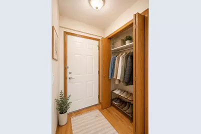 2453 S Archer Avenue #4F, Chicago, IL 60616 - Photo 10