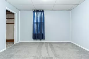 118 W Van Alstyne St, Cullom, IL 60929 - Photo 24
