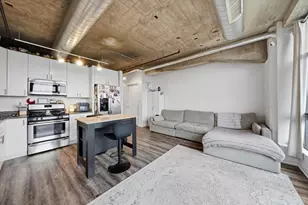 1550 S Blue Island Ave, Chicago, IL 60608 - Photo 4