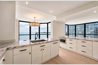 990 N Lake Shore Drive #9a, Chicago, IL 60611 - Photo 4