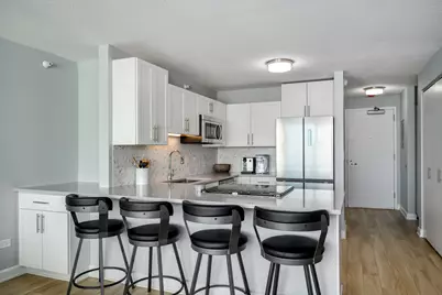 2 E Erie Street #3601, Chicago, IL 60611 - Photo 2
